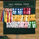 Ribbons from Aiken Feb 2014